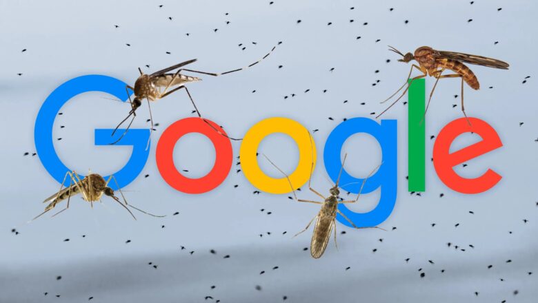 Google Ternak 32 Juta Nyamuk untuk Dilepas ke Alam, Ini Tujuan Sebenarnya